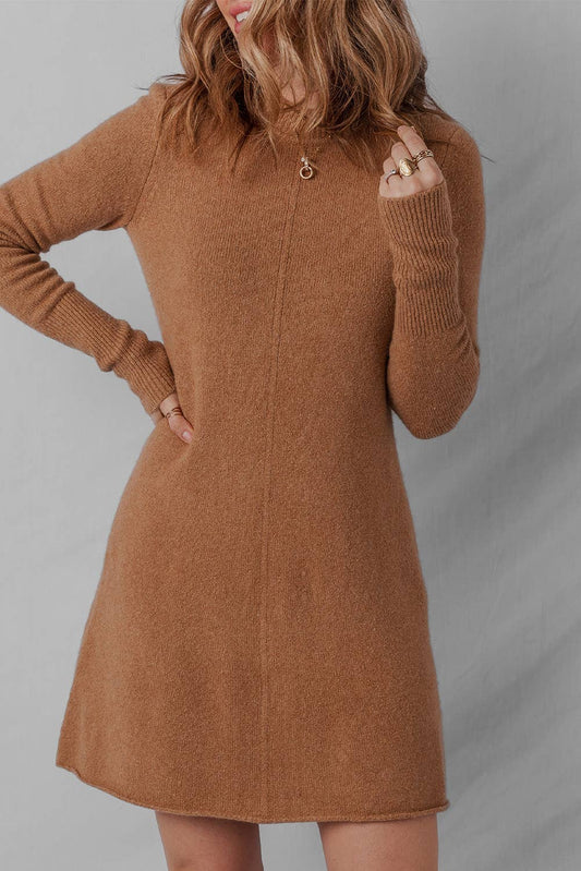 Ribbed Mini Sweater Dress