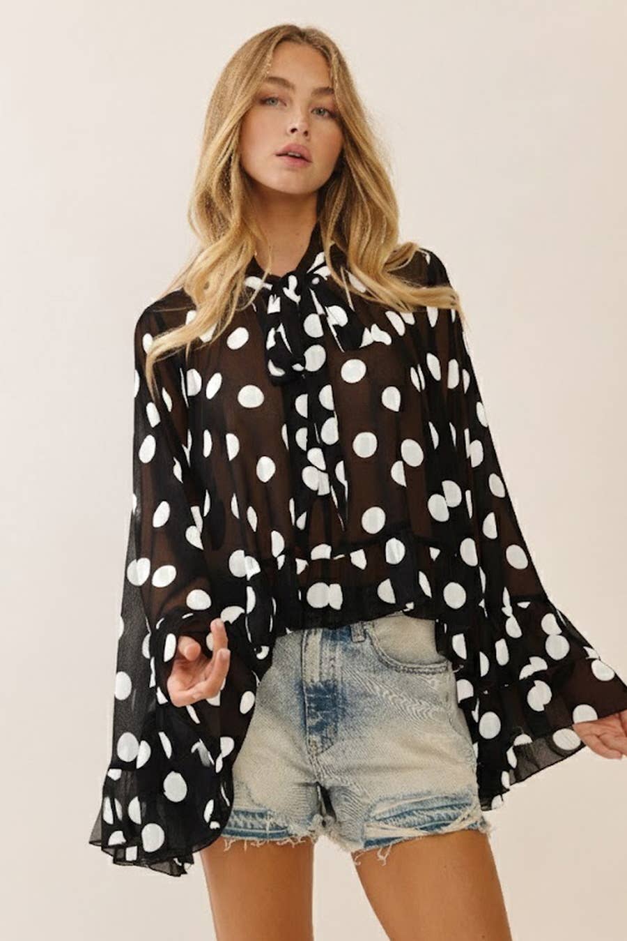 Brown & Blue Polka Dot Sheer Chiffon Ruffle Blouse
