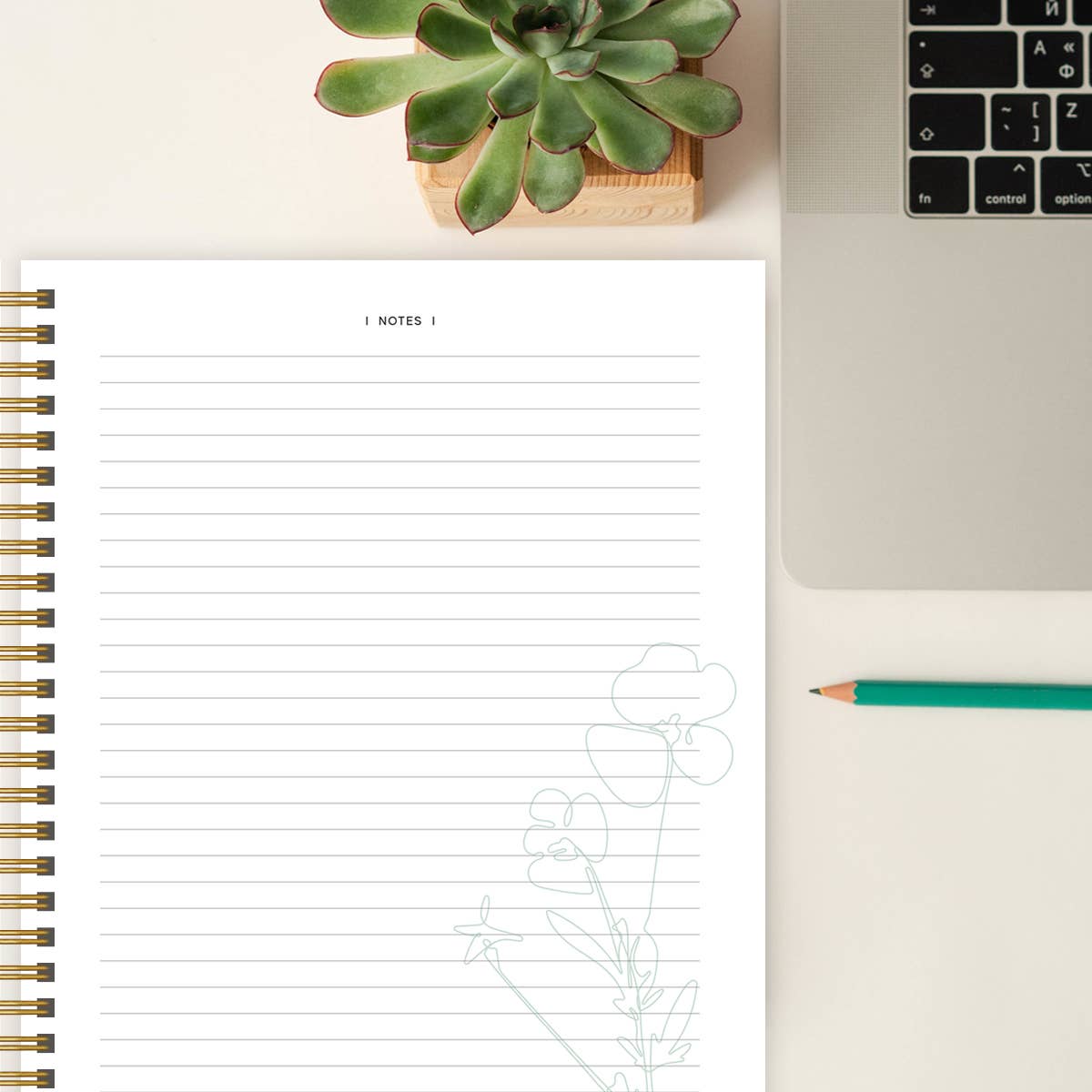 Spiral Bible- The Bible In A Year: A 52-Week Study