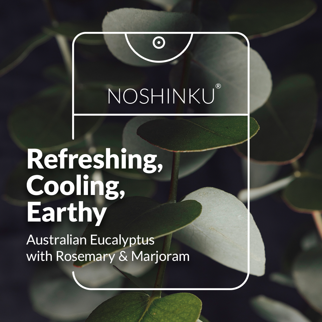 Noshinku Eucalyptus Sanitizer Refill Pouch β 100ml Travel Refill