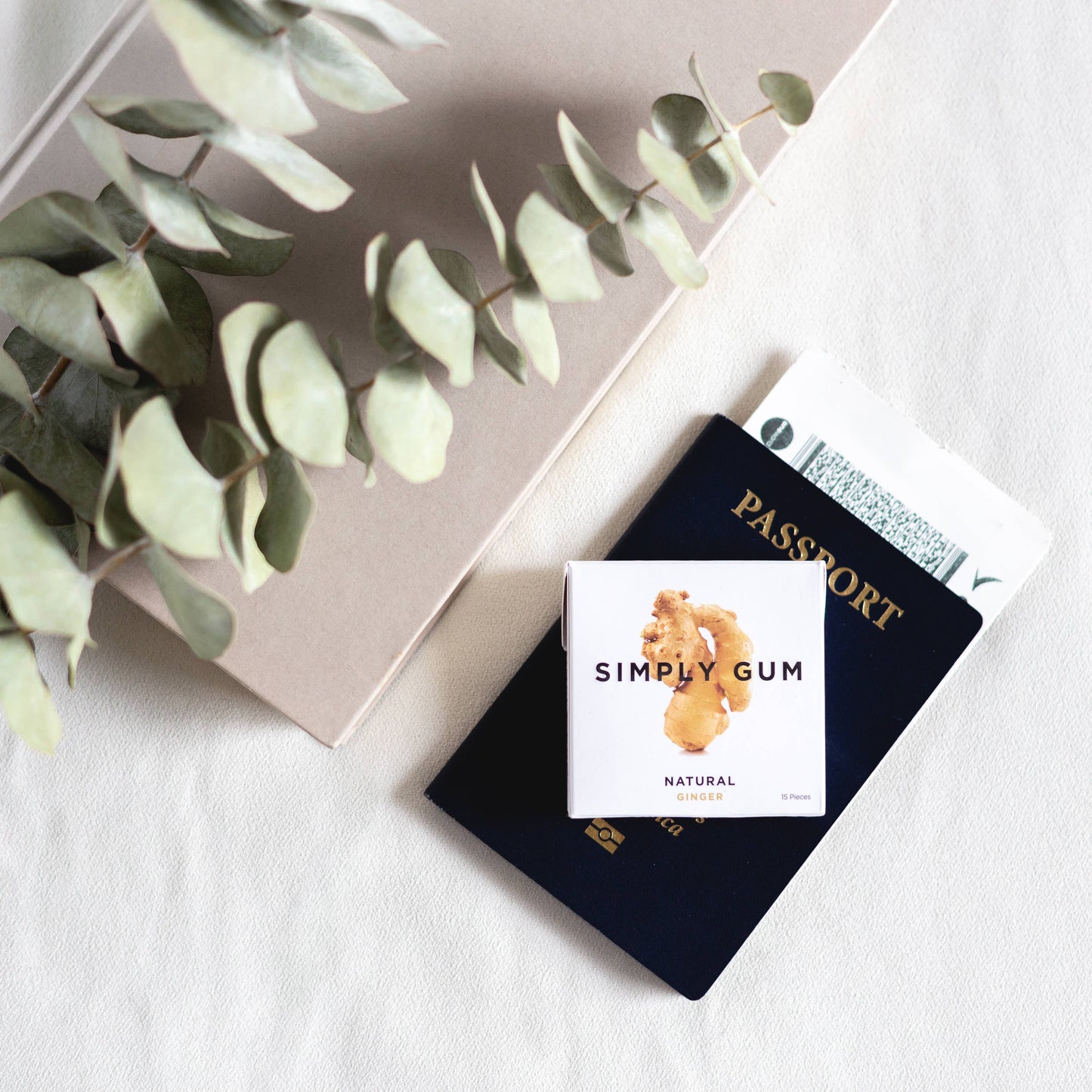 Ginger Natural Chewing Gum