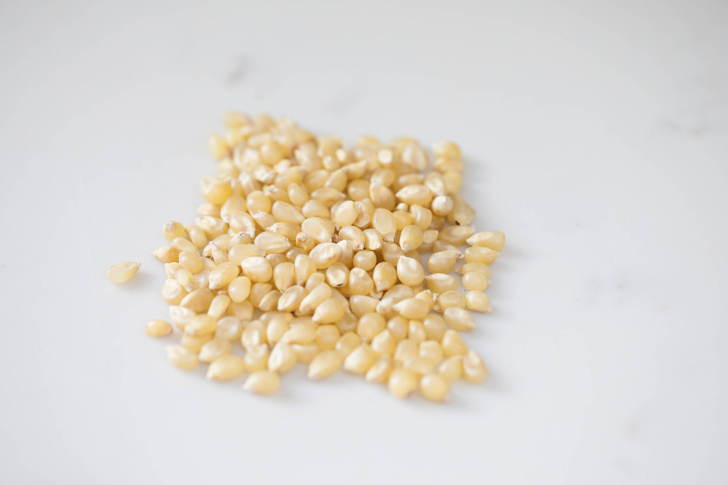Amish Country Medium White Hulless Popcorn Kernels – 2lb Bag