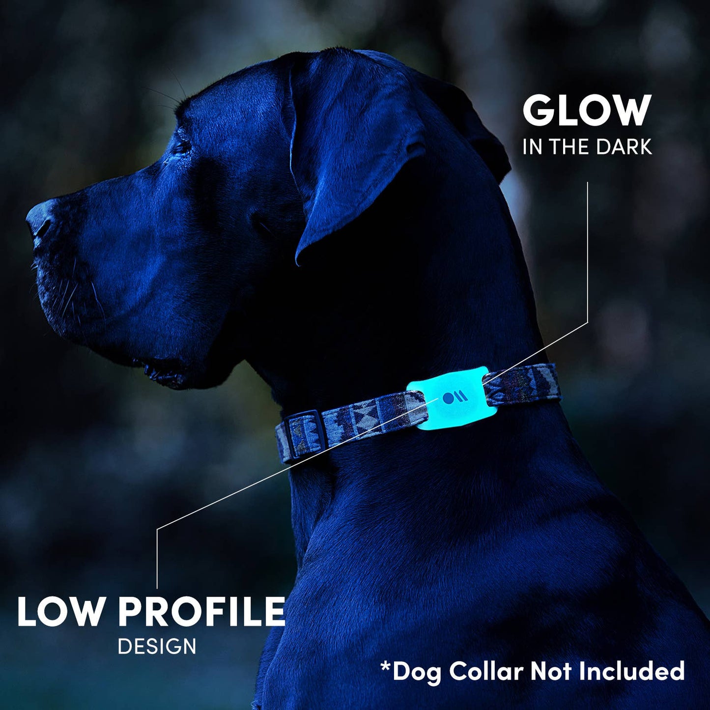 Case-Mate AirTag Case for Dog Collars (Glow in the Dark) - AirTag Case