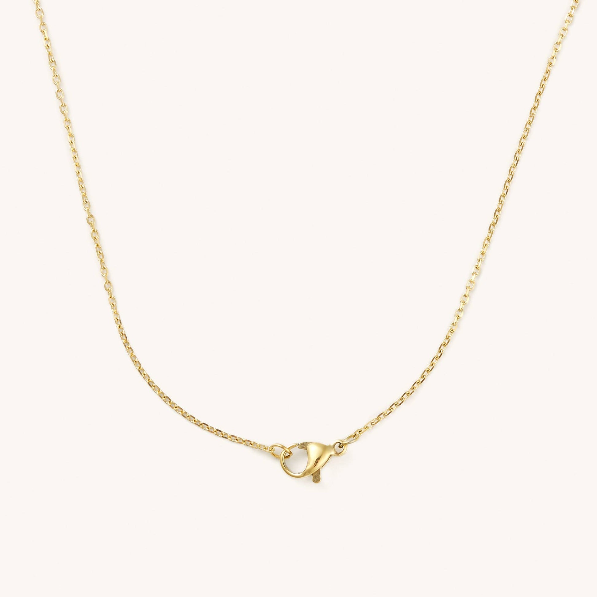 Gold necklace with a clasp on a light beige background