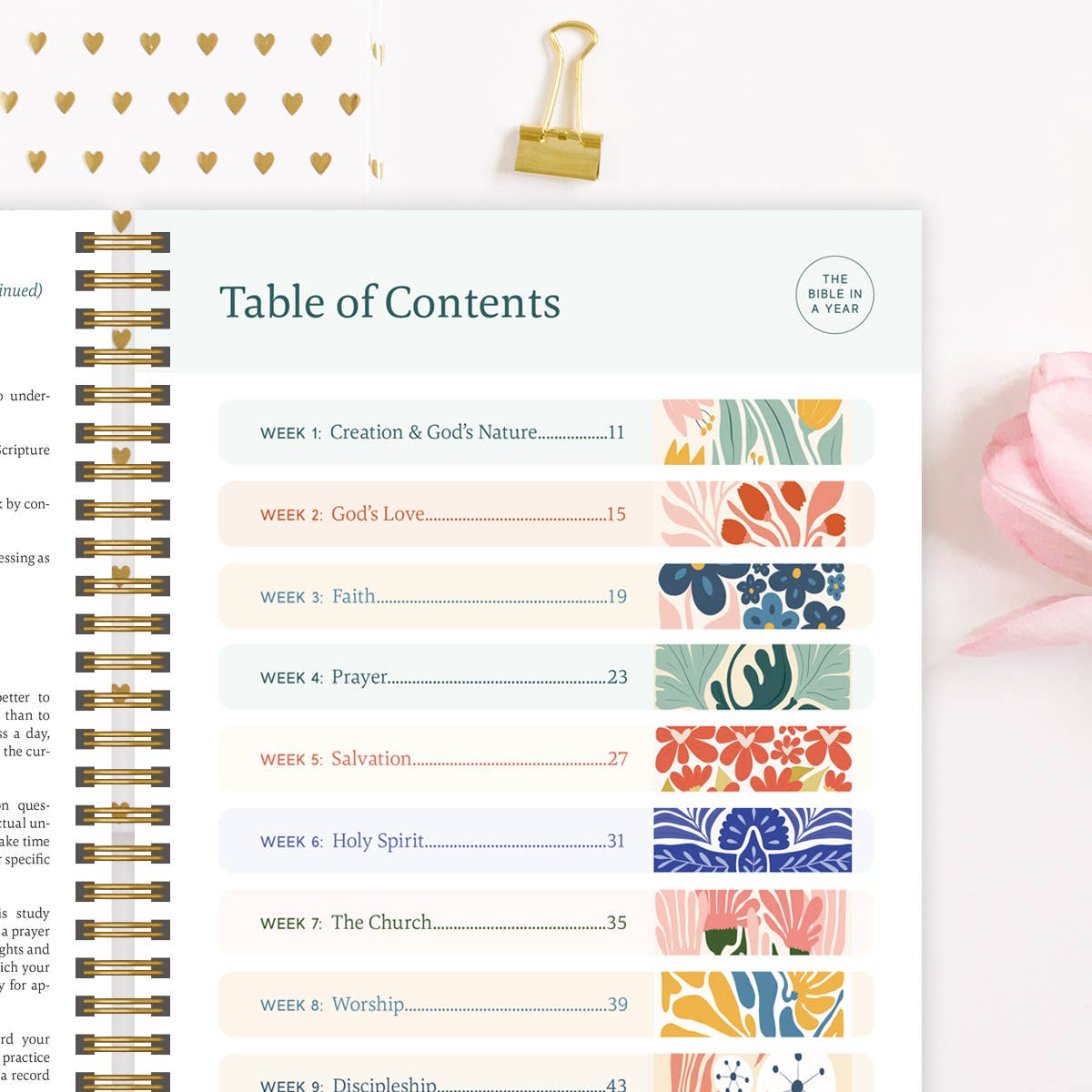 Spiral Bible- The Bible In A Year: A 52-Week Study