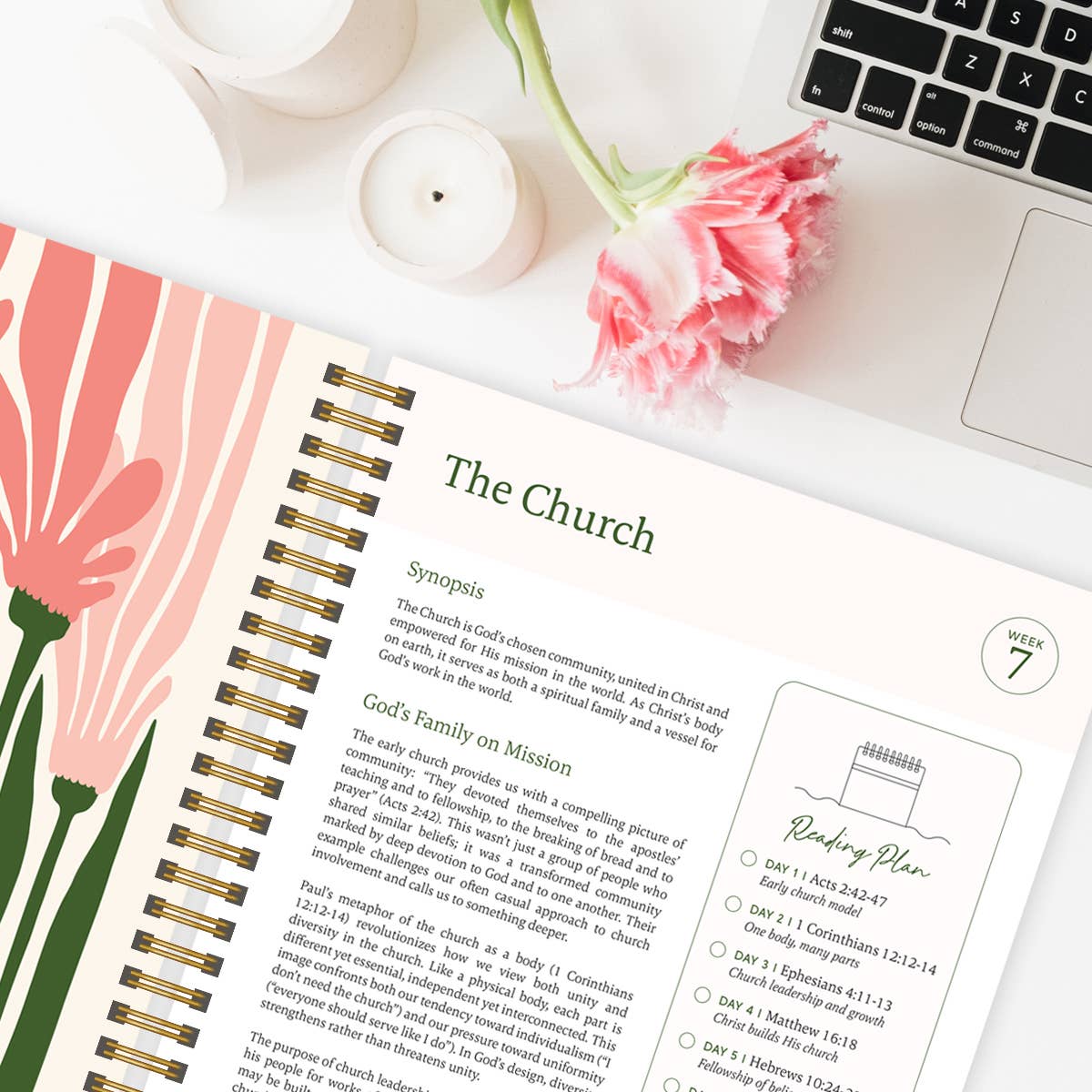 Spiral Bible- The Bible In A Year: A 52-Week Study