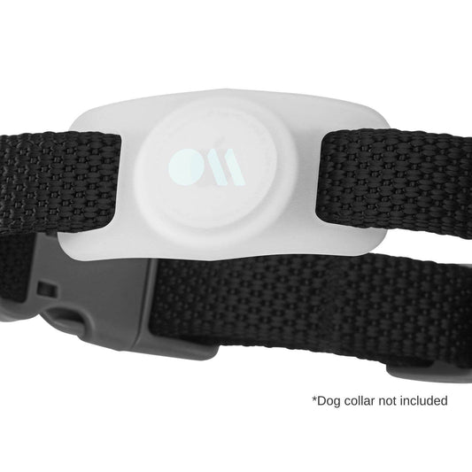 Case-Mate AirTag Case for Dog Collars (Glow in the Dark) - AirTag Case
