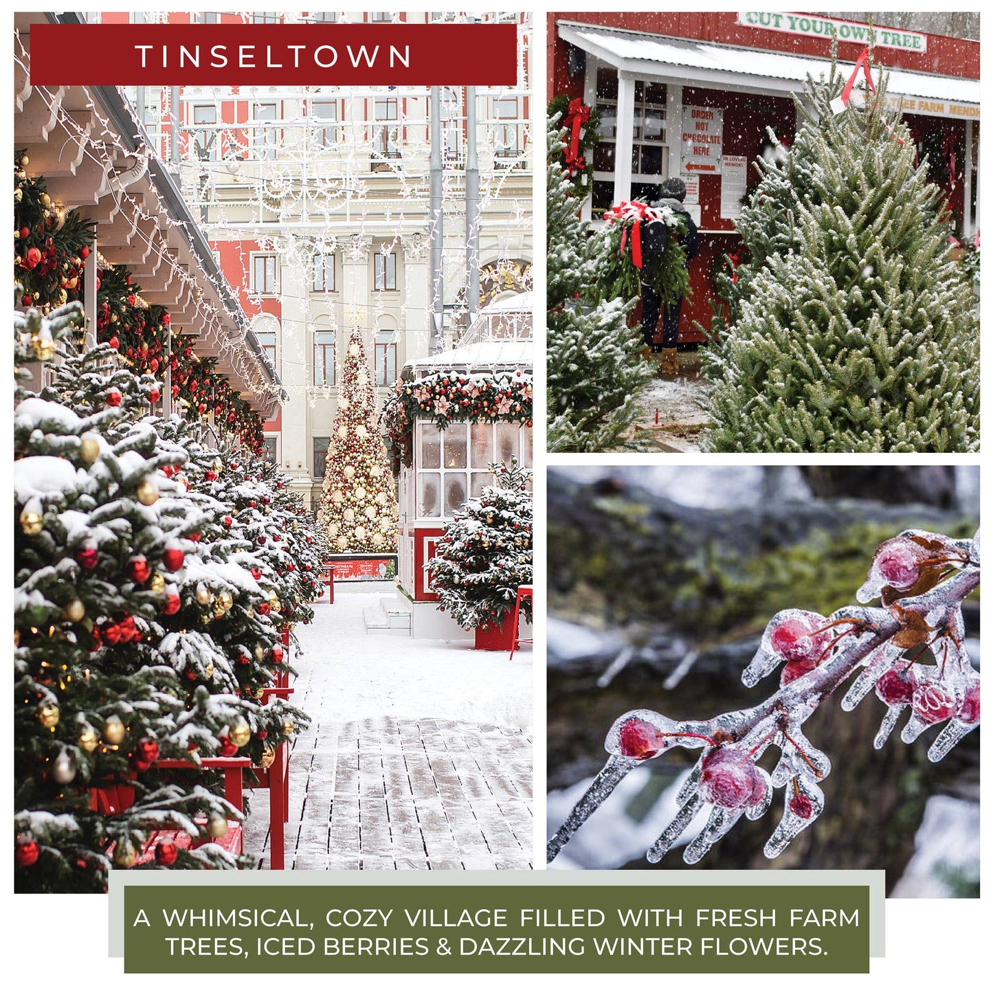 A Cheerful Giver Tinseltown 34 oz Papa Candle