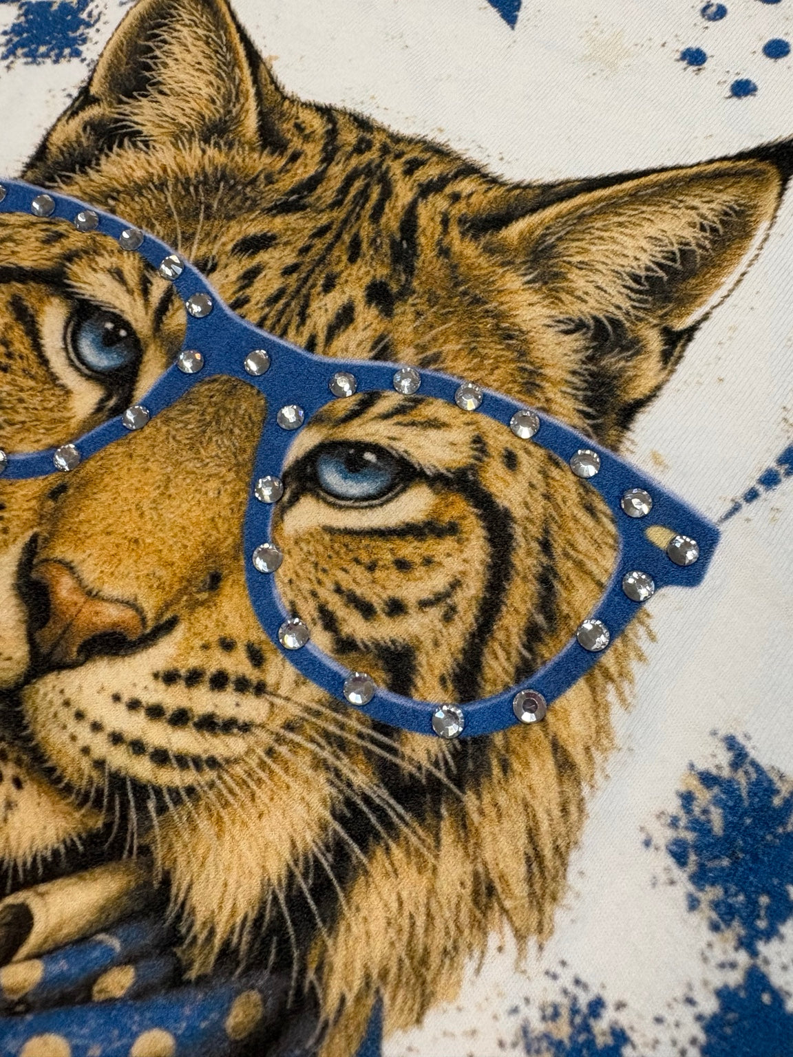 Close-up of a kentucky wildcat face with blue-rimmed round glasses adorned with rhinestones, on a white and blue patterned background.