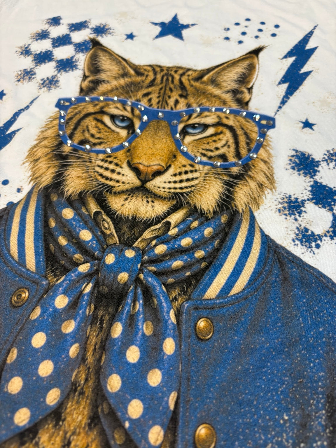 A kentucky wildcat wearing blue star-patterned glasses, a blue polka-dot necktie, and a blue varsity jacket against a white background with blue stars and lightning motifs.